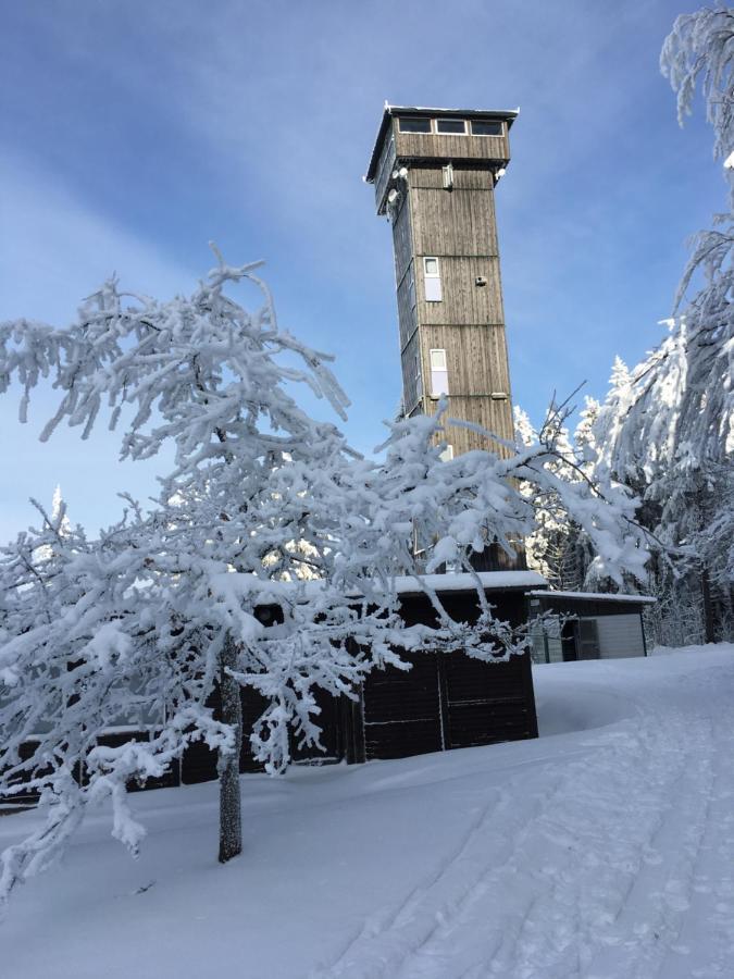 Appartamento Am Duerrenbachtal Klingenthal Esterno foto