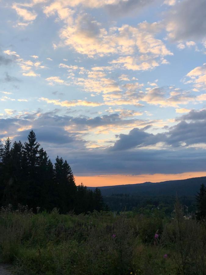 Appartamento Am Duerrenbachtal Klingenthal Esterno foto