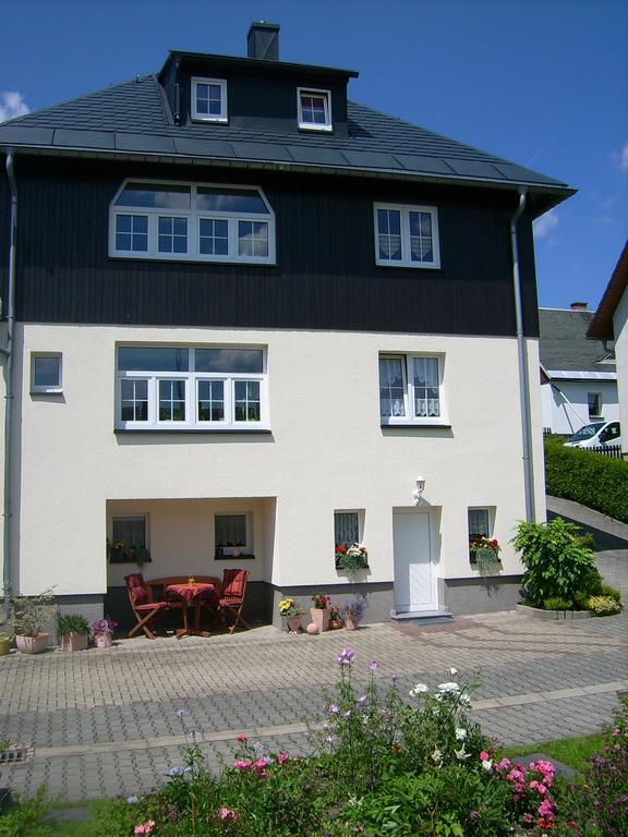 Appartamento Am Duerrenbachtal Klingenthal Esterno foto