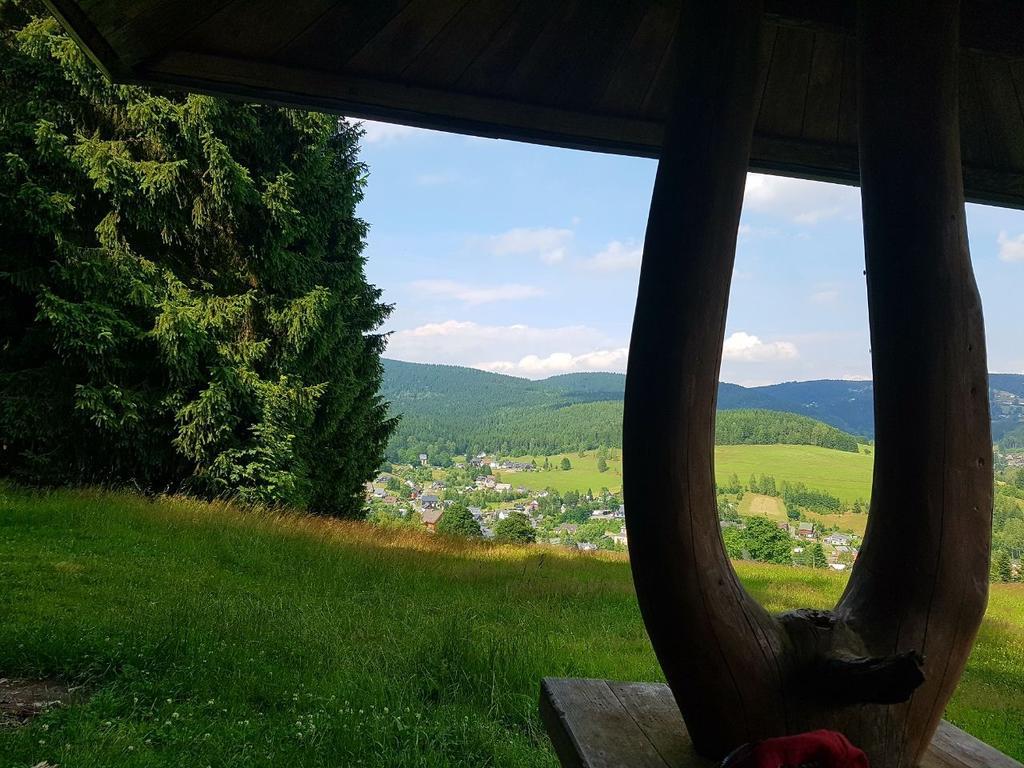 Appartamento Am Duerrenbachtal Klingenthal Esterno foto